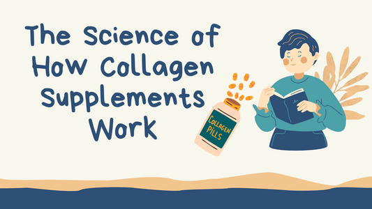 The Science of How Collagen Supplements Work