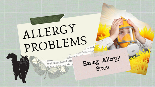 Allergy Problems: Easing Allergy Stress