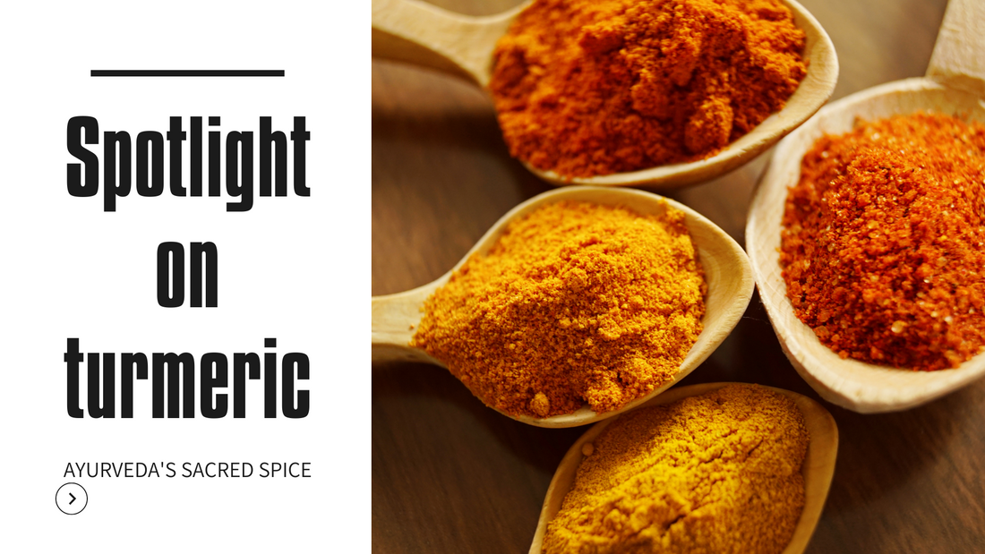 Spotlight on Turmeric, Ayurveda's Sacred Spice