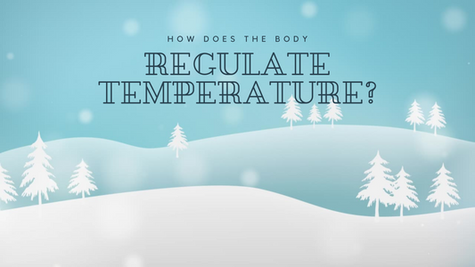 How Does the Body Regulate Temperature?