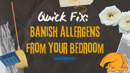 Quick Fix: Banish Allergens from your Bedroom